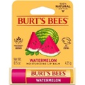 버츠비S Watermelon Lip Balm 4.25g 19651